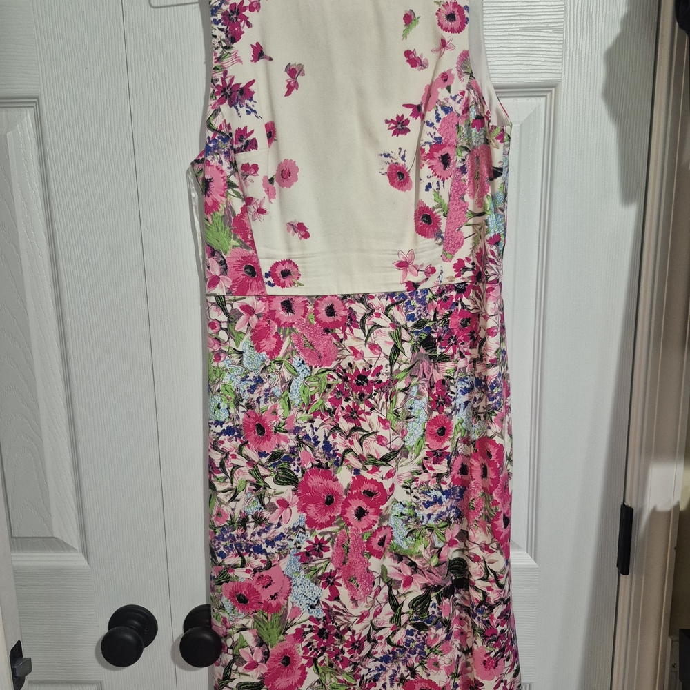 Maggy London Floral Sheath Halter Cotton Midi Dress